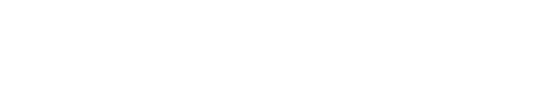 The Bull Report